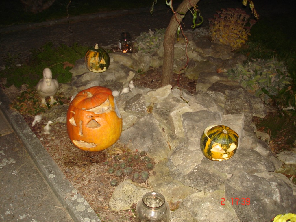 fotky076.jpg